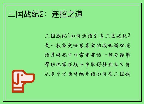 三国战纪2：连招之道